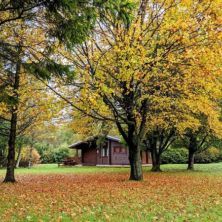 Pinecroft Lodges Ingleton  Exteriér fotografie