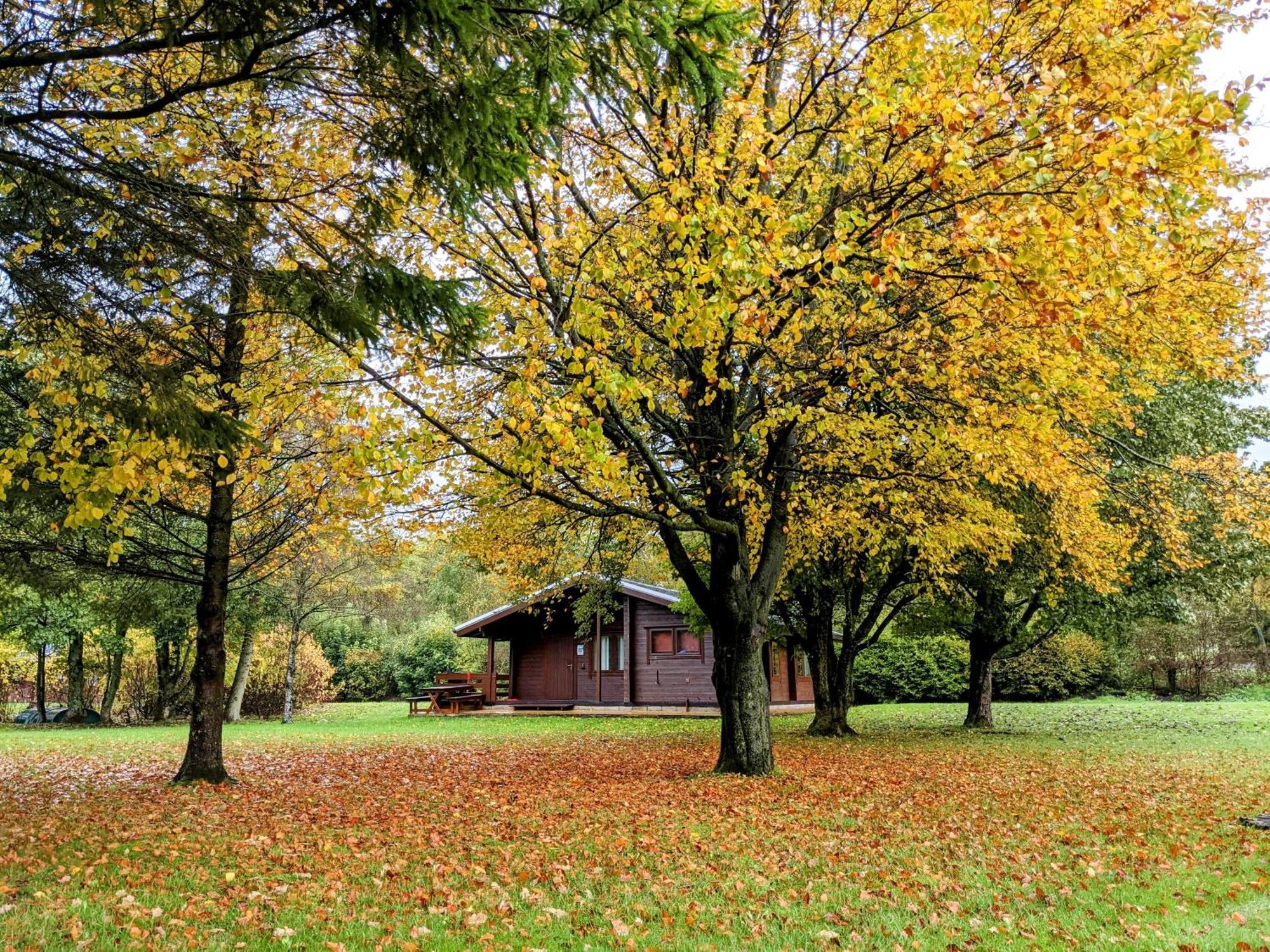 Pinecroft Lodges Ingleton  Exteriér fotografie
